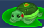 Tortuga Racing game icon